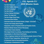 un-agenda-goalsnew