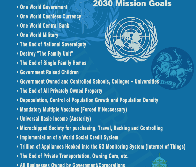 un-agenda-goalsnew
