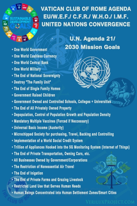 un-agenda-goalsnew-compsmall
